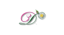 Stylz&3dllc
